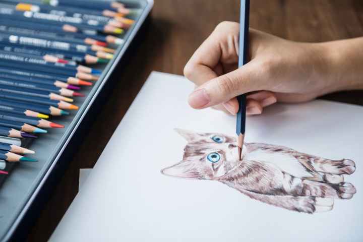 person sketching a kitten